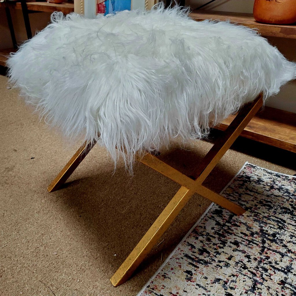 Fuzzy Footstool