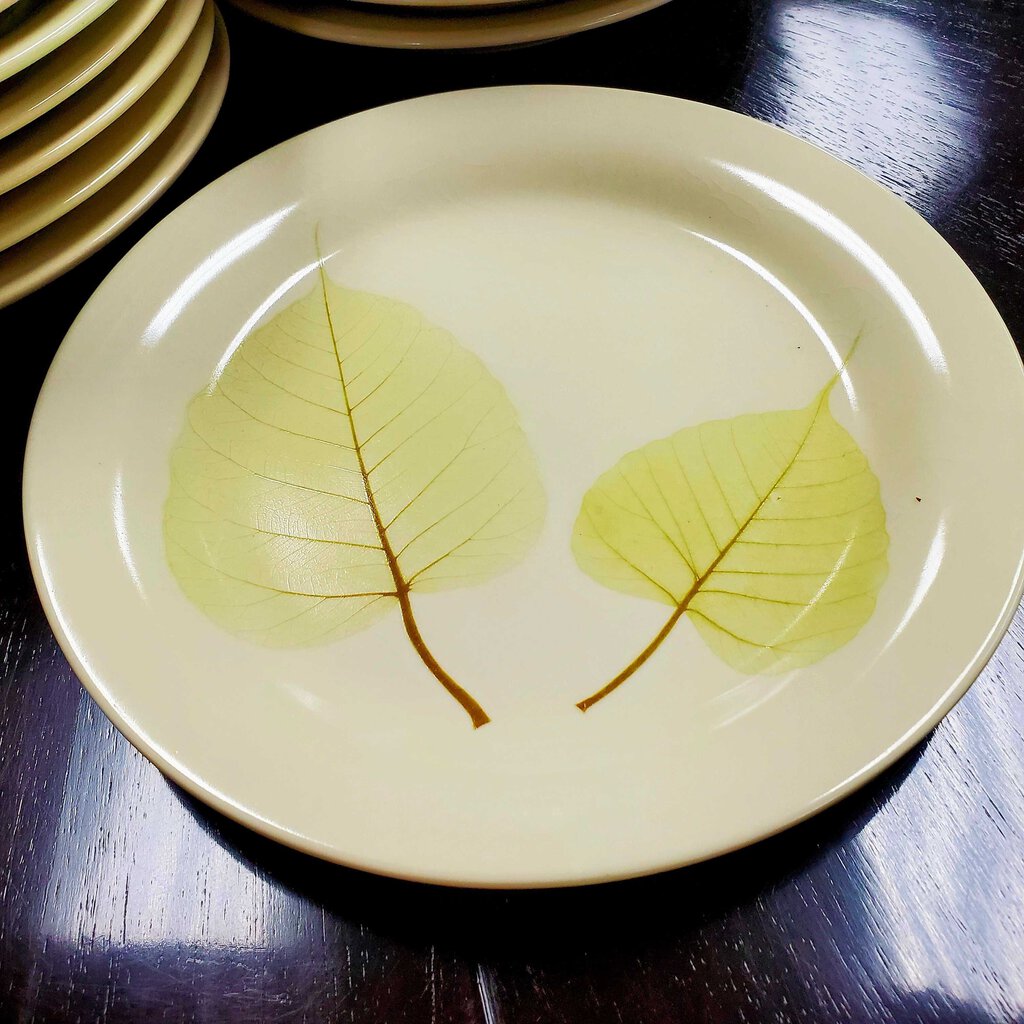 Set/12 Stoneware Dessert Plates