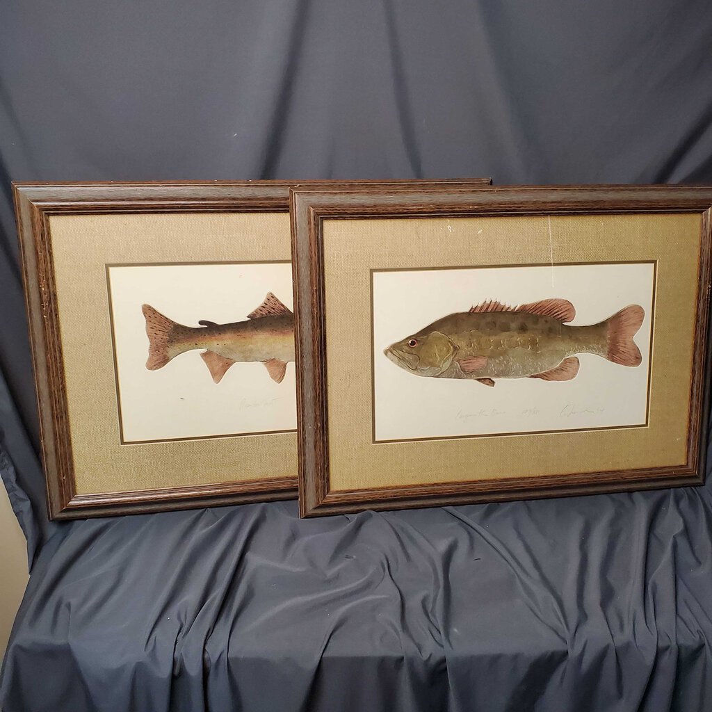 2pc fish art framed