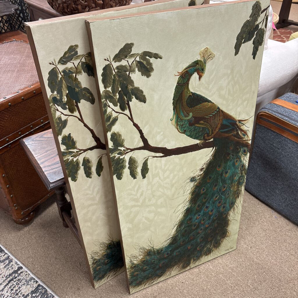 Peacock Canvas