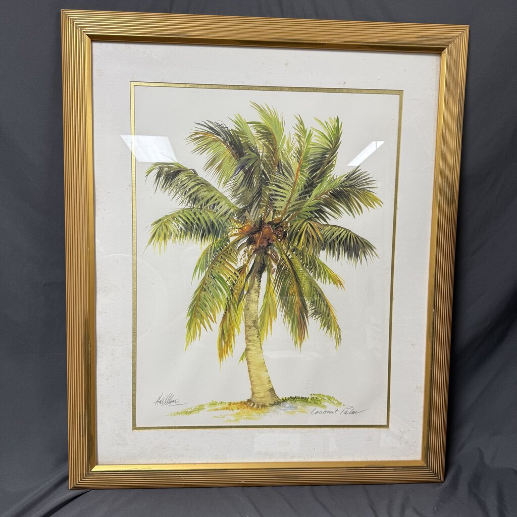 Framed Palm Pic (needs rematting)