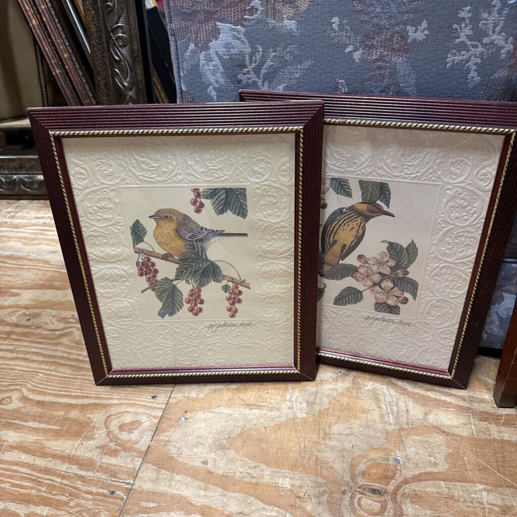pair birds framed