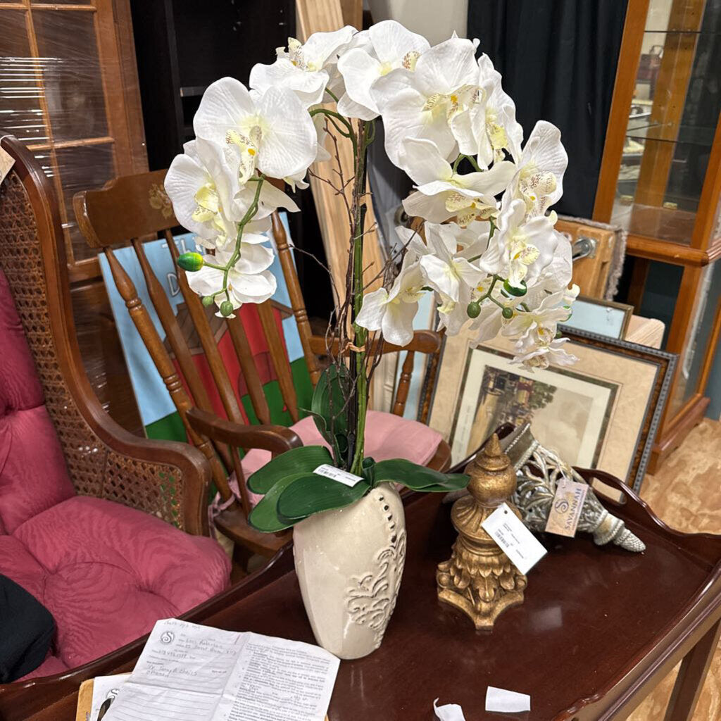 orchid in ceramic