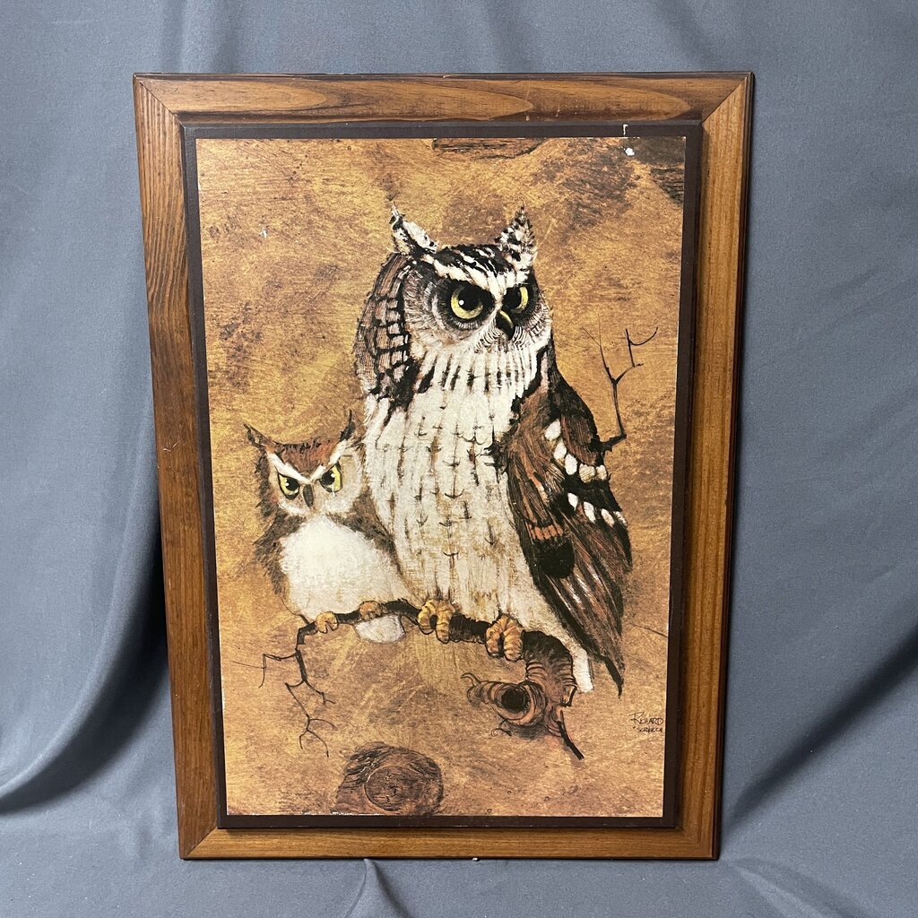 Vintage Owl Art