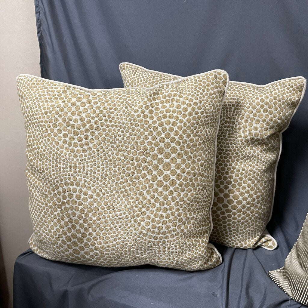 Pair Dot Embossed Pillows