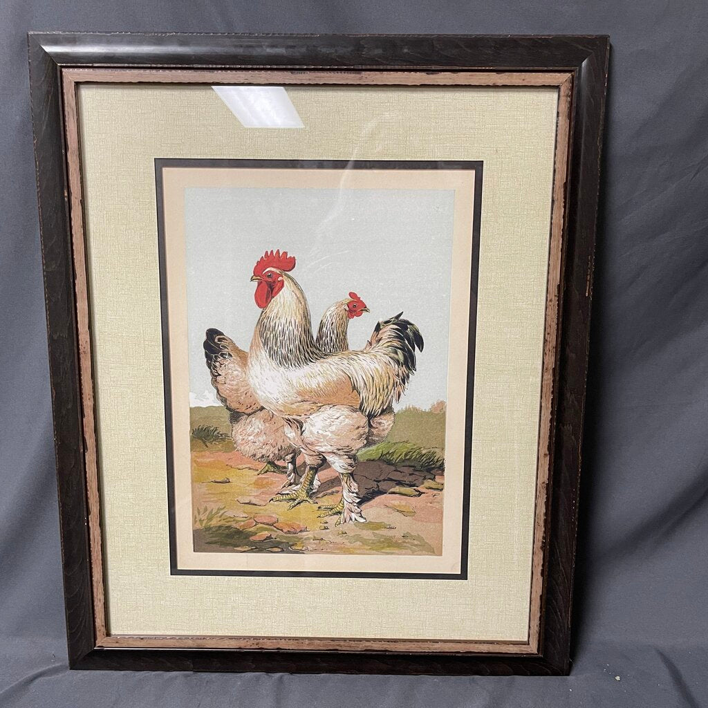 White Roosters Print