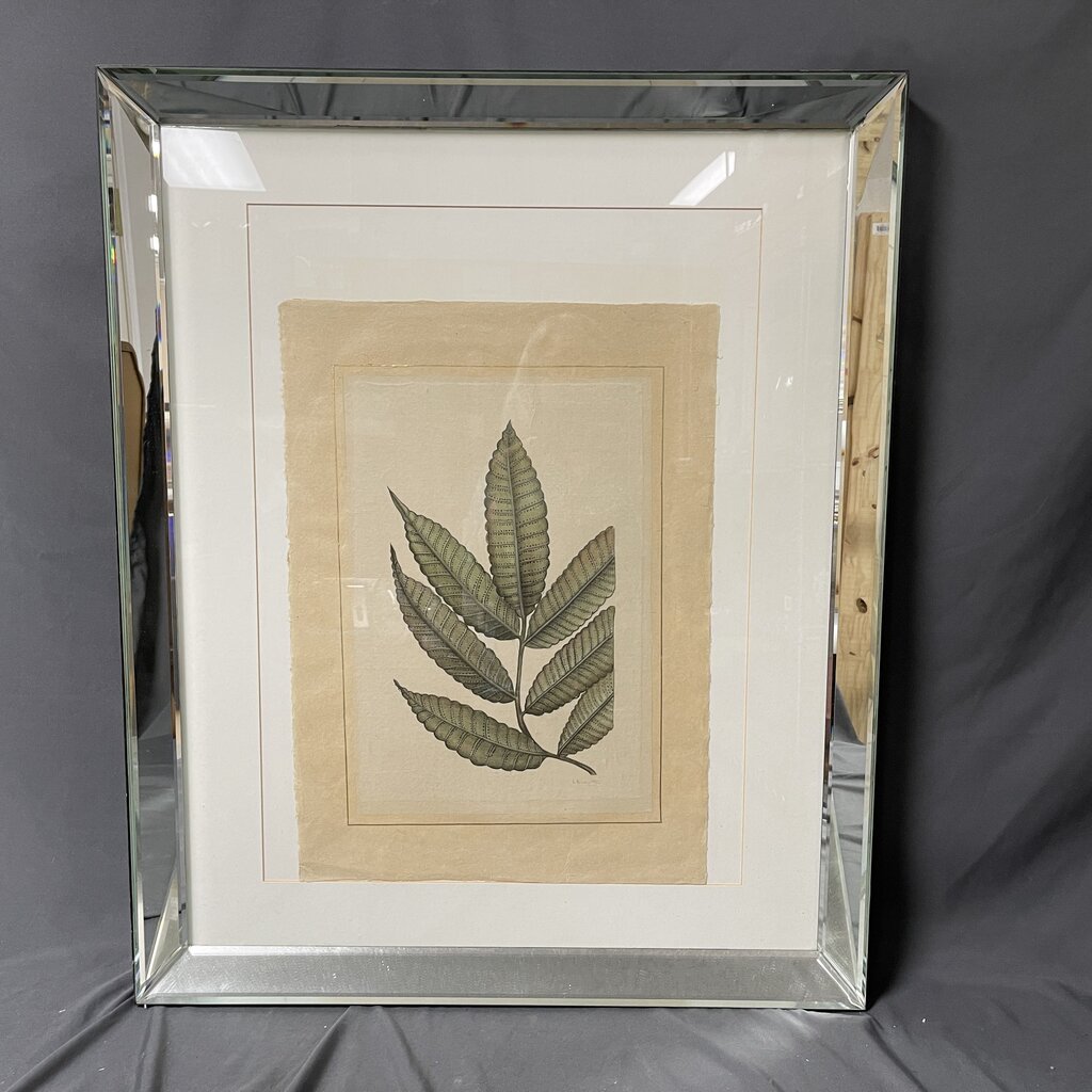 Trowbridge Mirror Framed Vintage Botanical Print