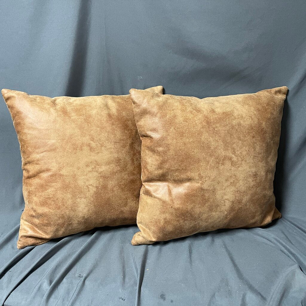 Pair Microfiber Pillows