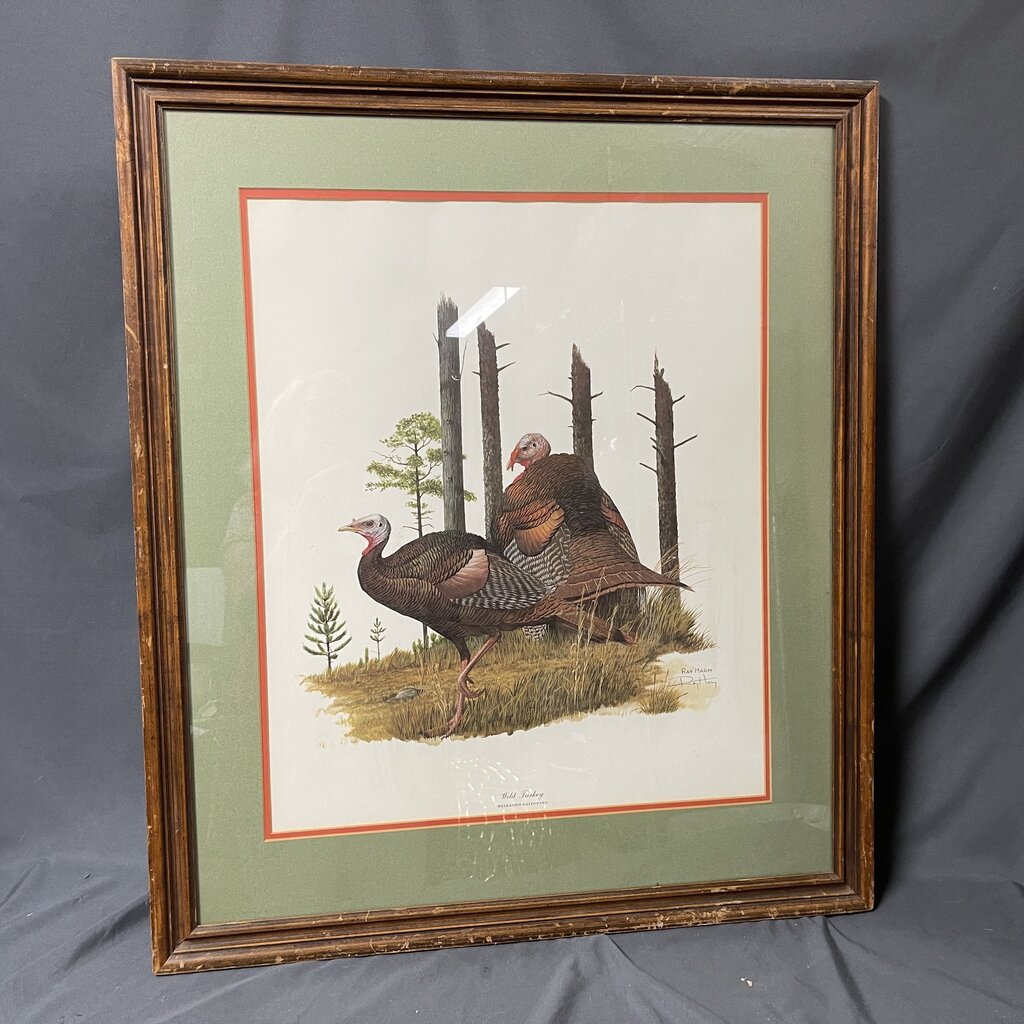 Wild Turkey Signed Print