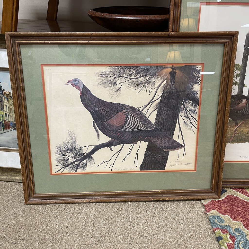 Wild Turkey Signed Print