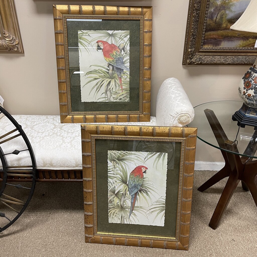 Pair Parrot Prints
