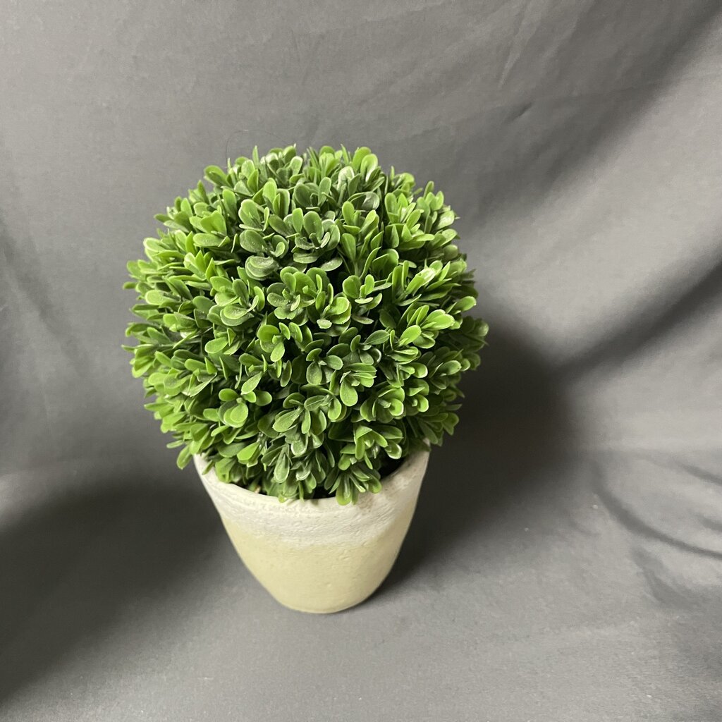 Tabletop Topiary
