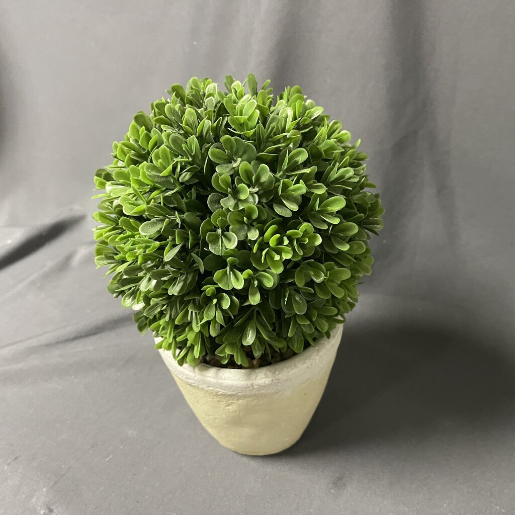 Tabletop Topiary