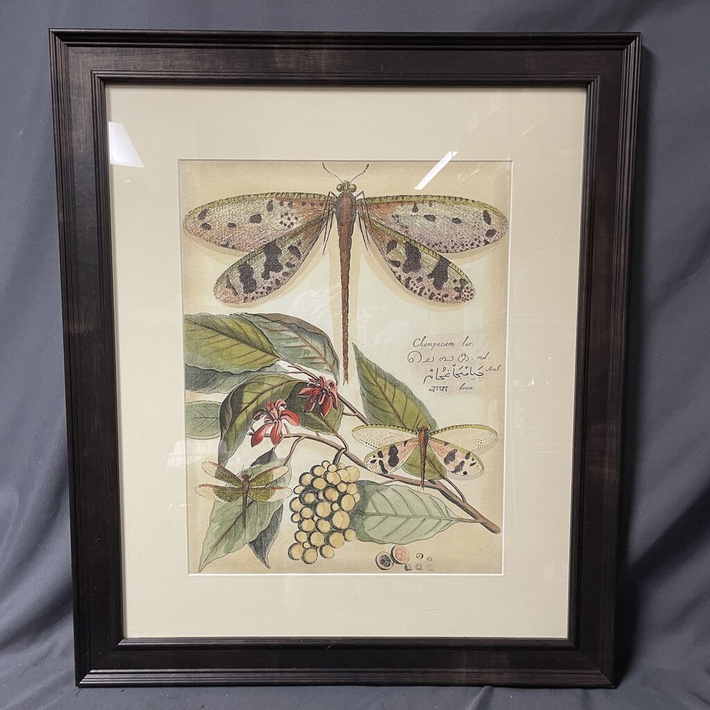 Dragonfly Print