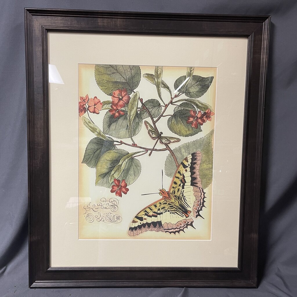 Butterfly Print