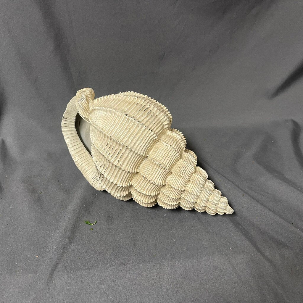 Decorative Conch Shell
