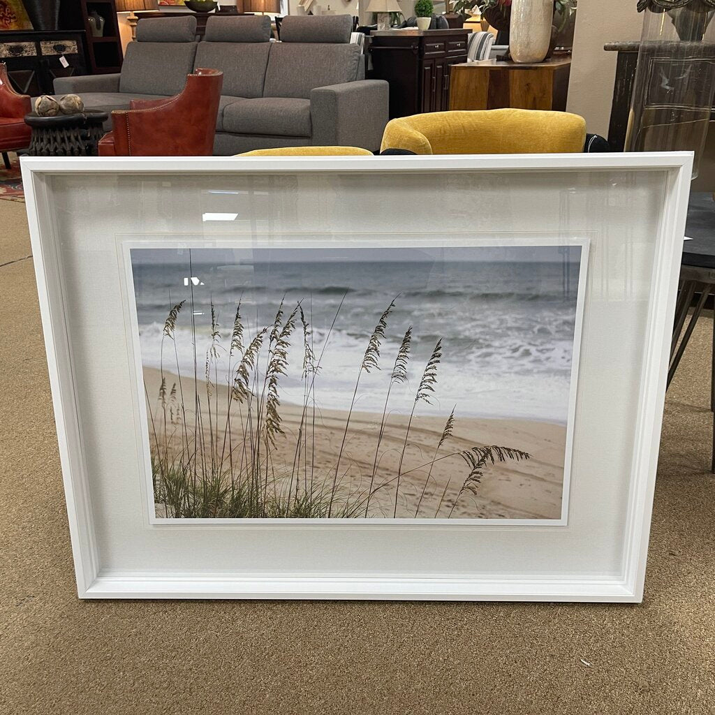 Framed Sea Oats Photograph