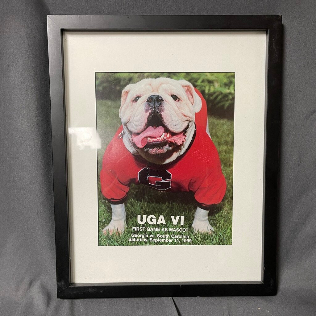 UGA VI Framed Photo