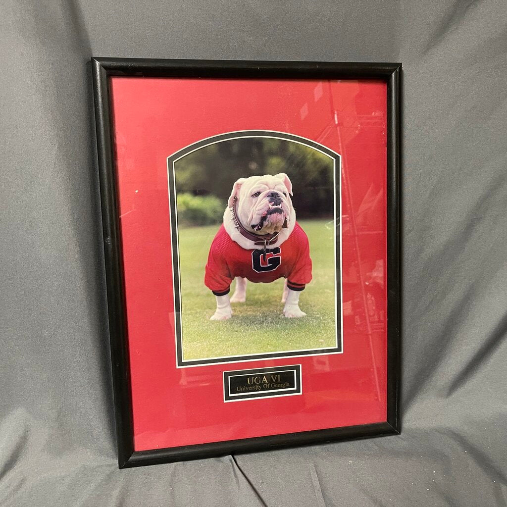 UGA VI Framed Photo