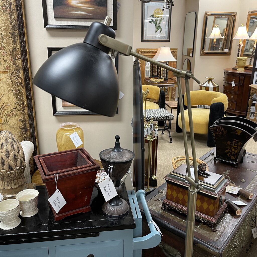 Adjustable Floor Lamp