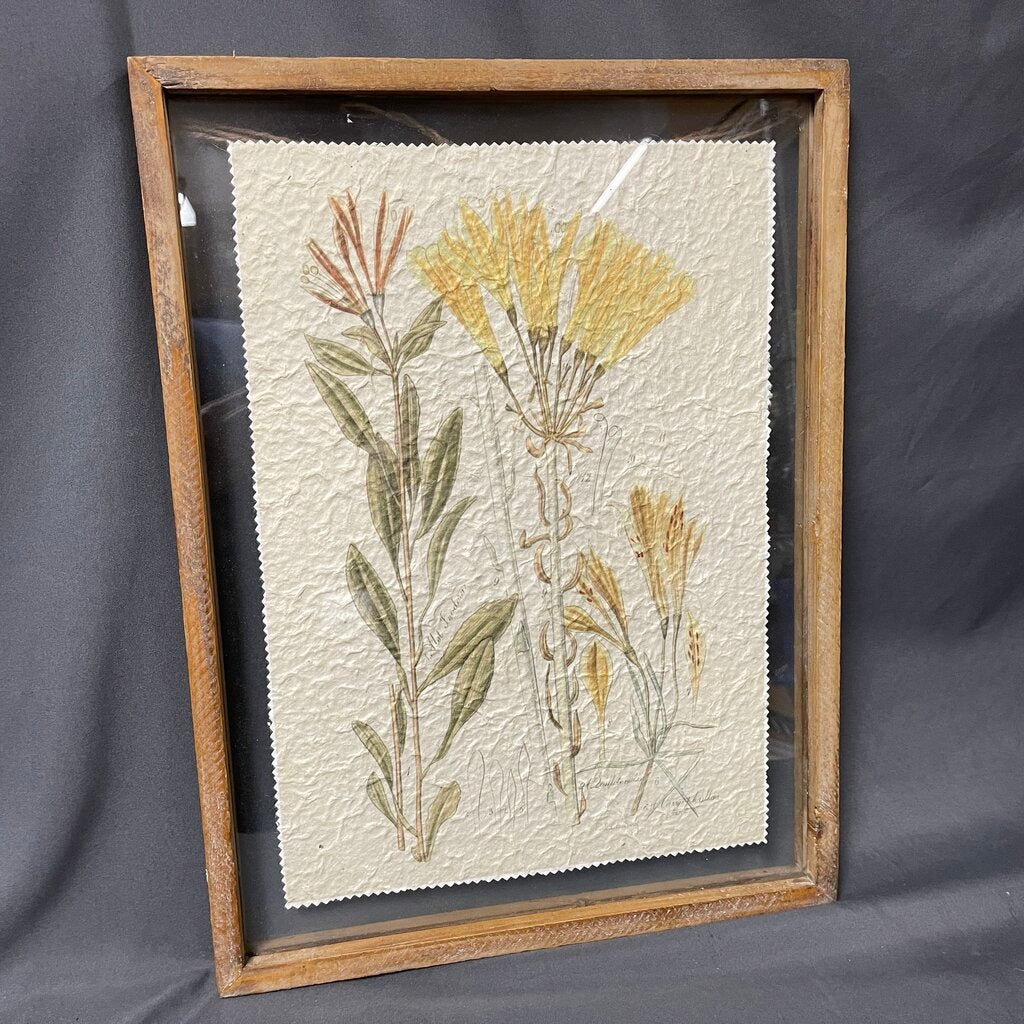 Botanical Print in Glass