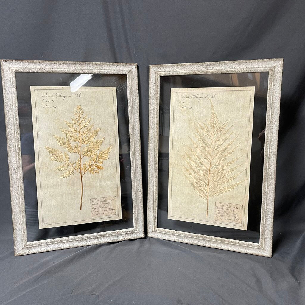 Pair Pressed Botanicals in Glass