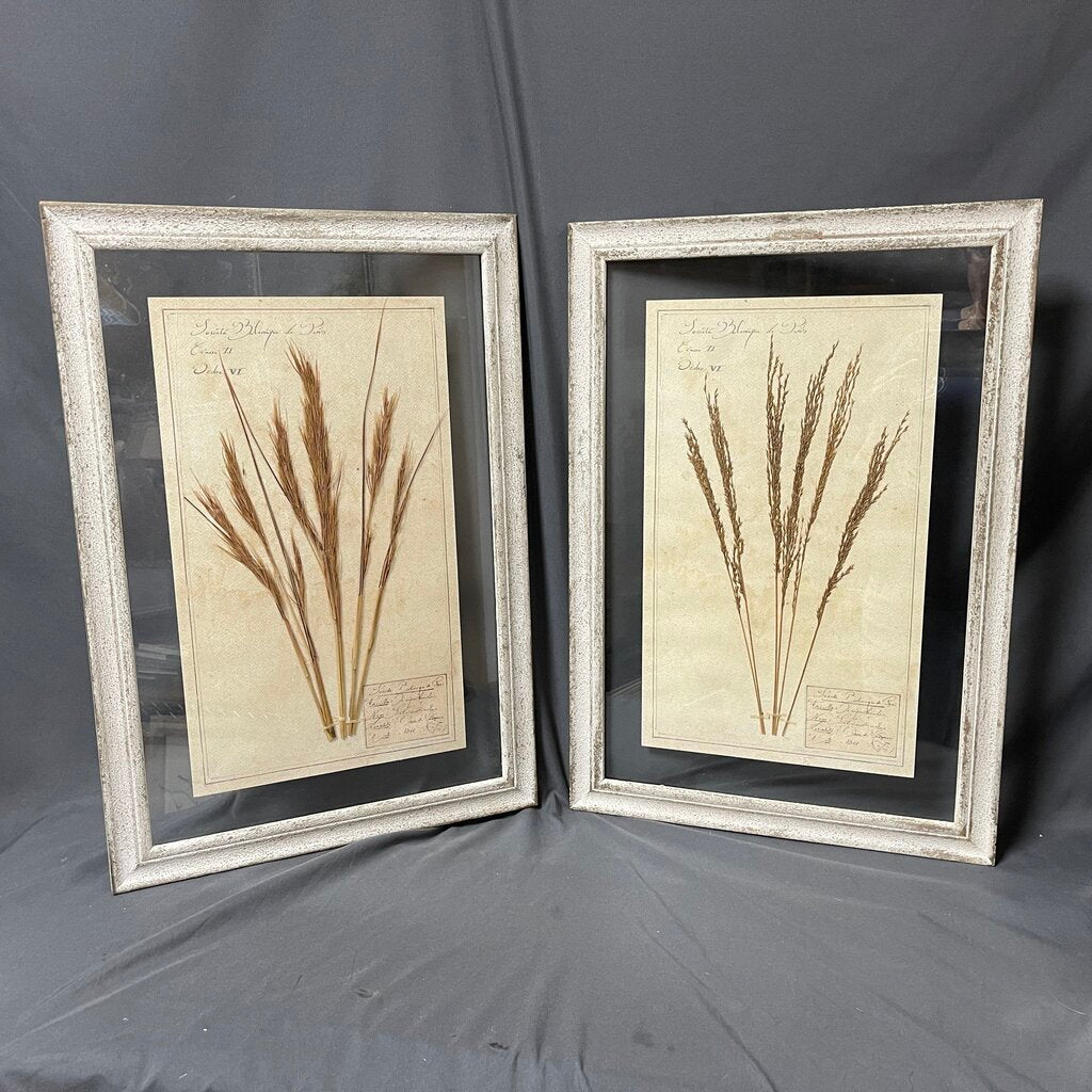 Pair Pressed Botanicals in Glass