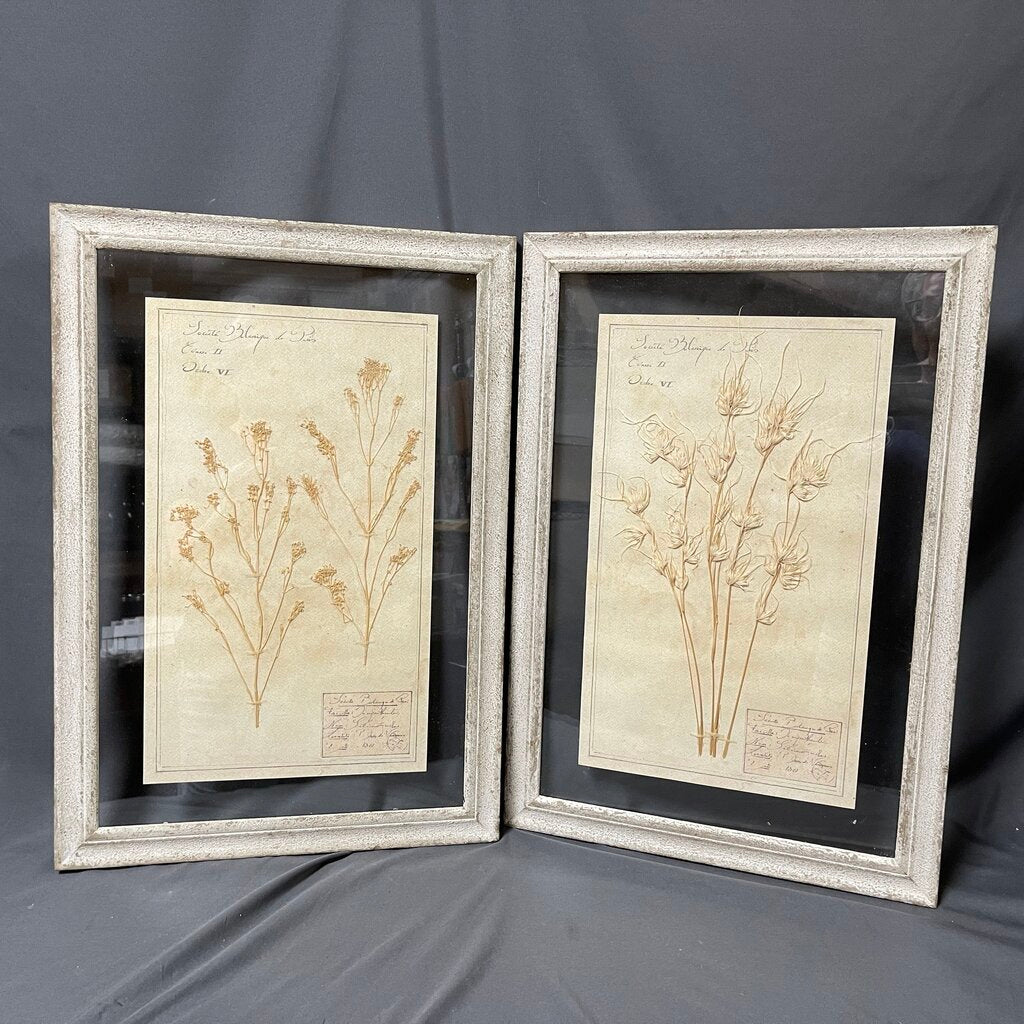 Pair Pressed Botanicals