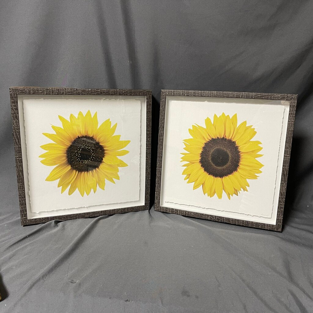 Pair Sunflower Prints
