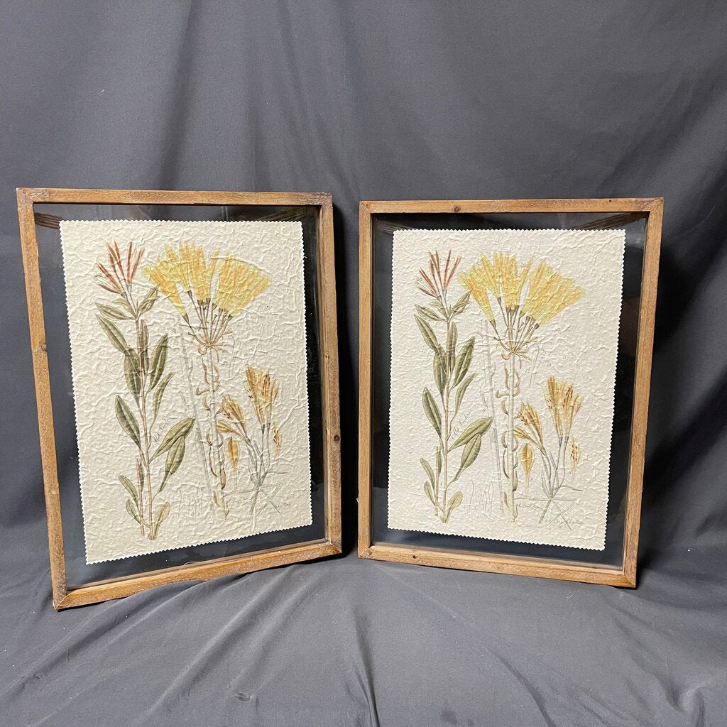 Pair Botanical Prints in Glass