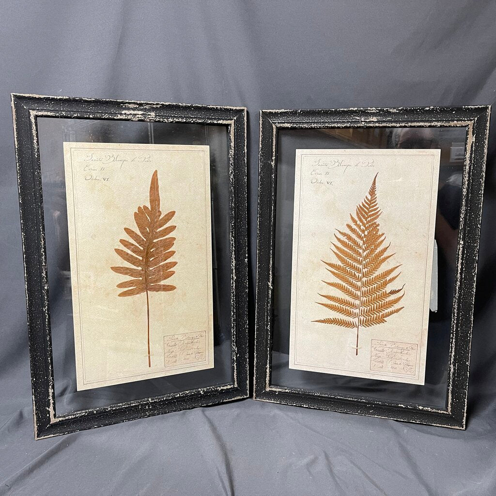 Pair Pressed Botanicals