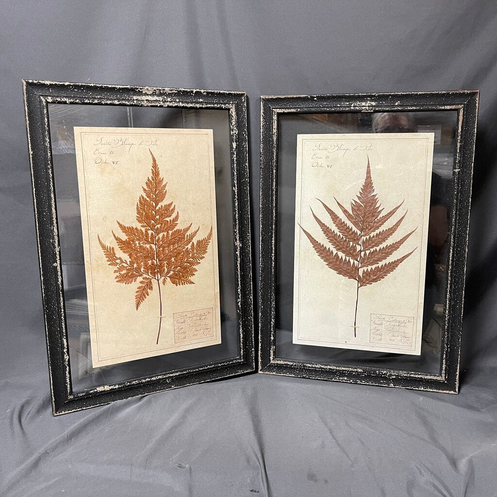 Pair Pressed Botanicals