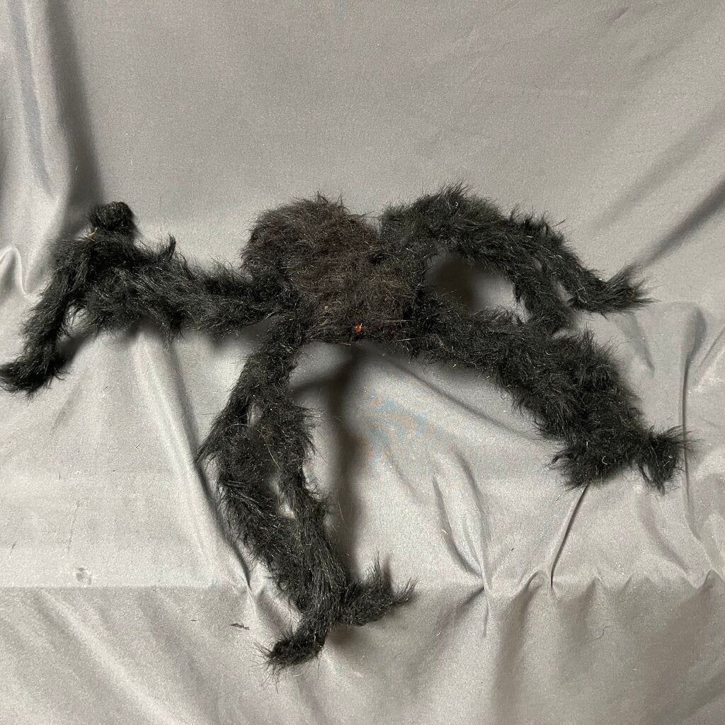 Furry Spider