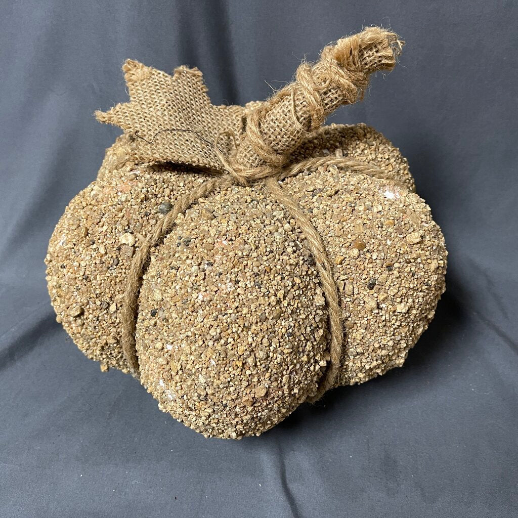 Bird Seed Pumpkin