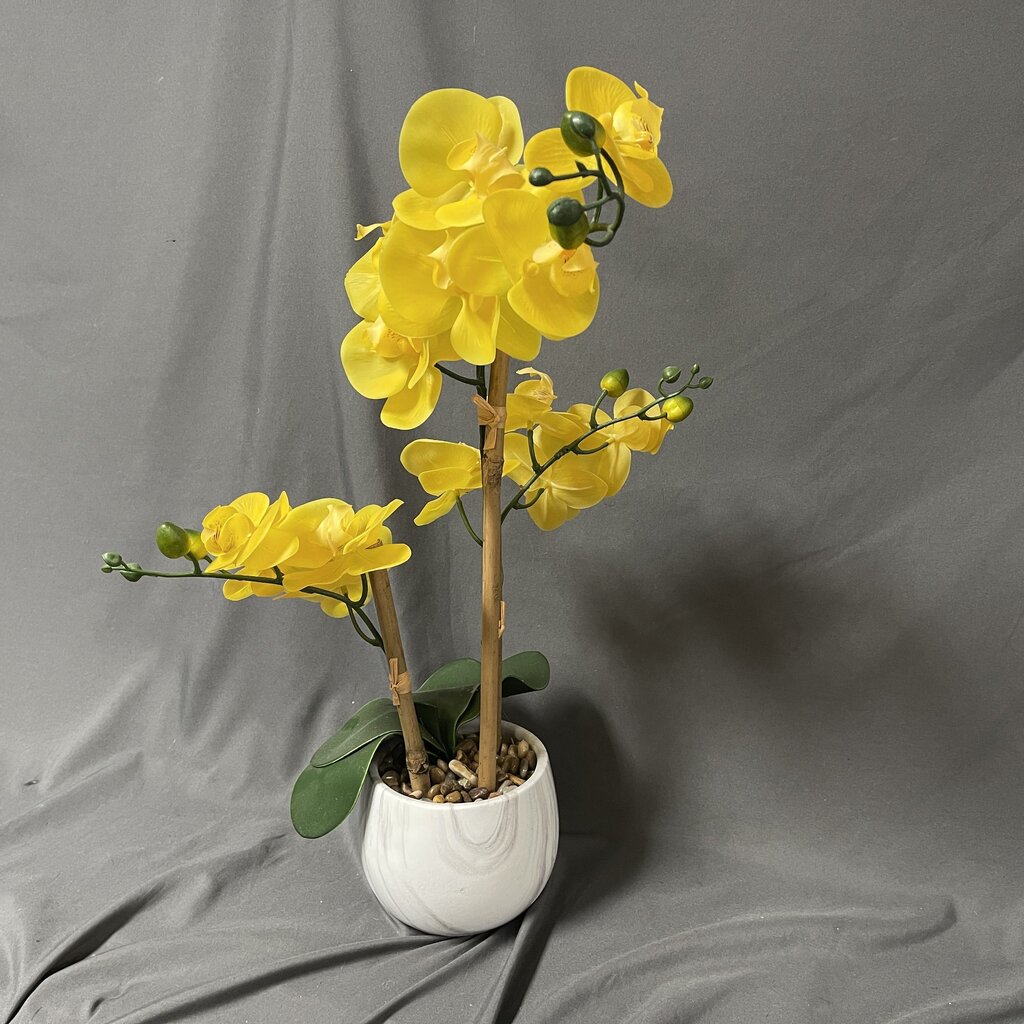 Faux Orchid in Planter