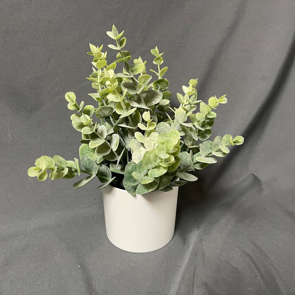Faux Eucalyptus in Planter