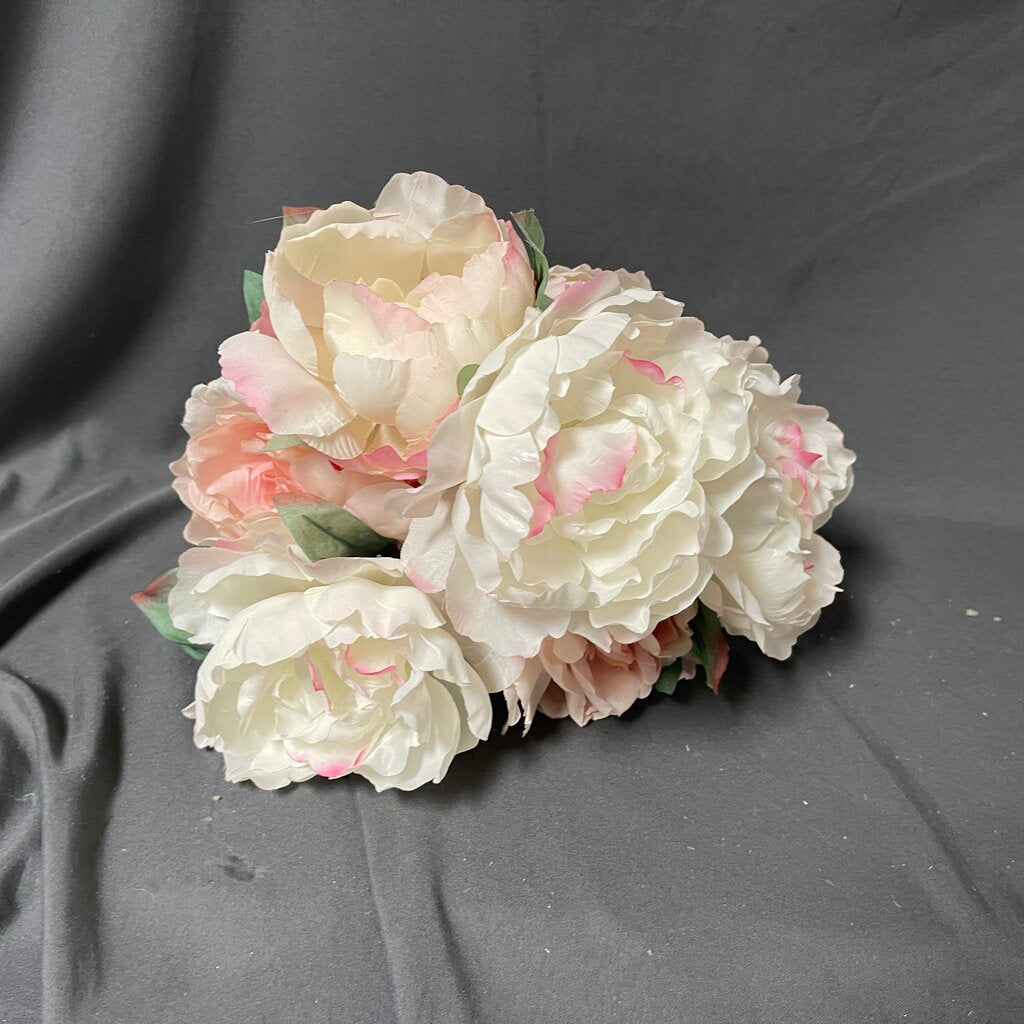 Pink Peonies Stems