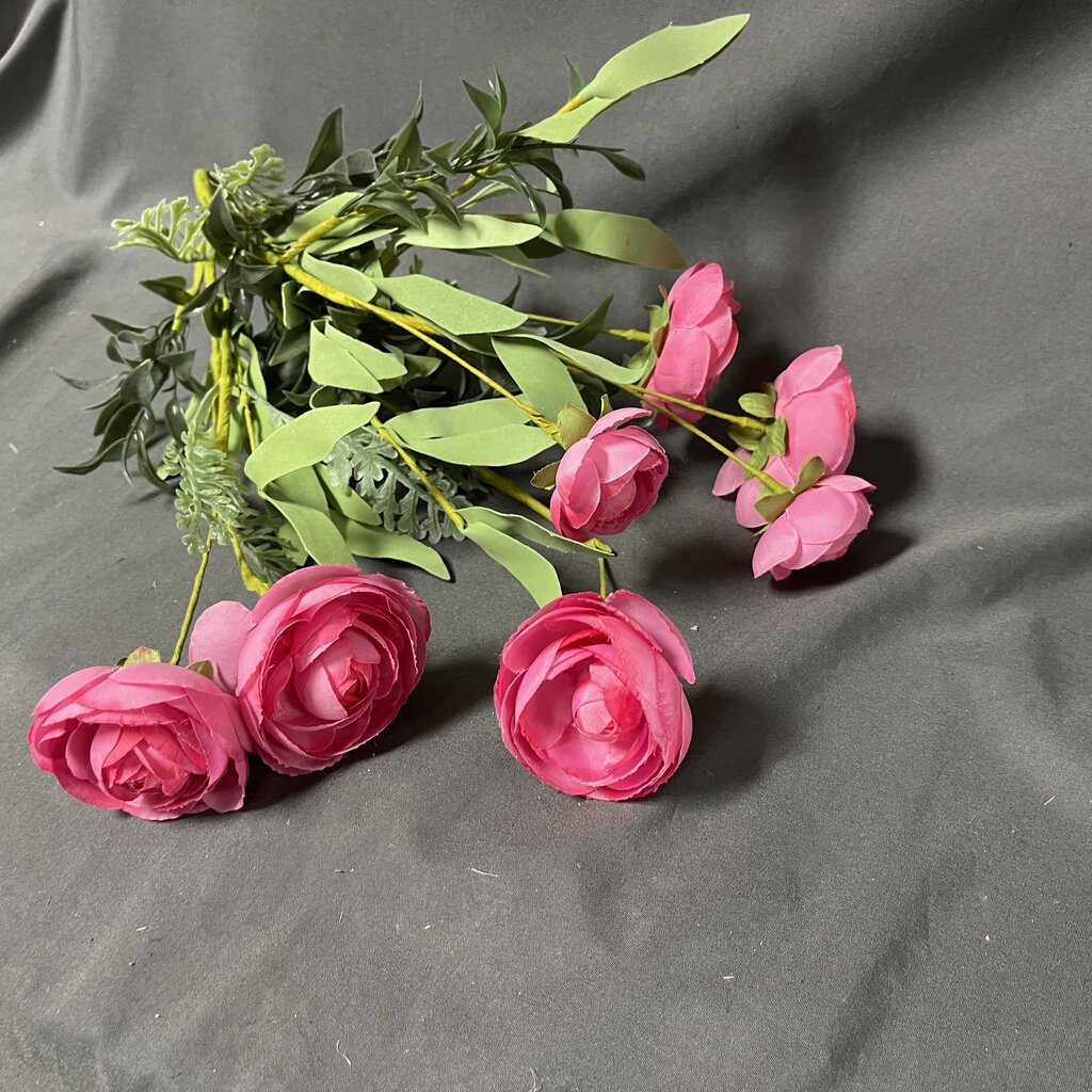 Pink Ranunculus Stems