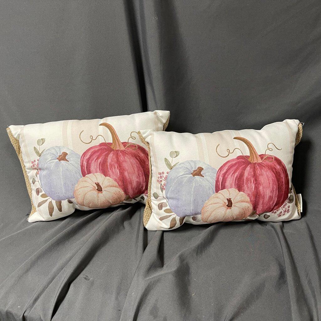 Pair Pumpkin Pillows