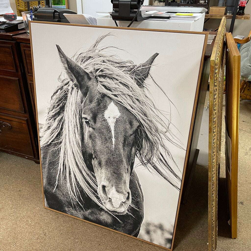 Horse Canvas