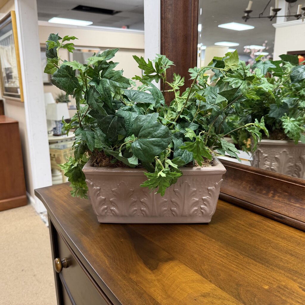 Greenery in Painted Heavy Terracotta Planter