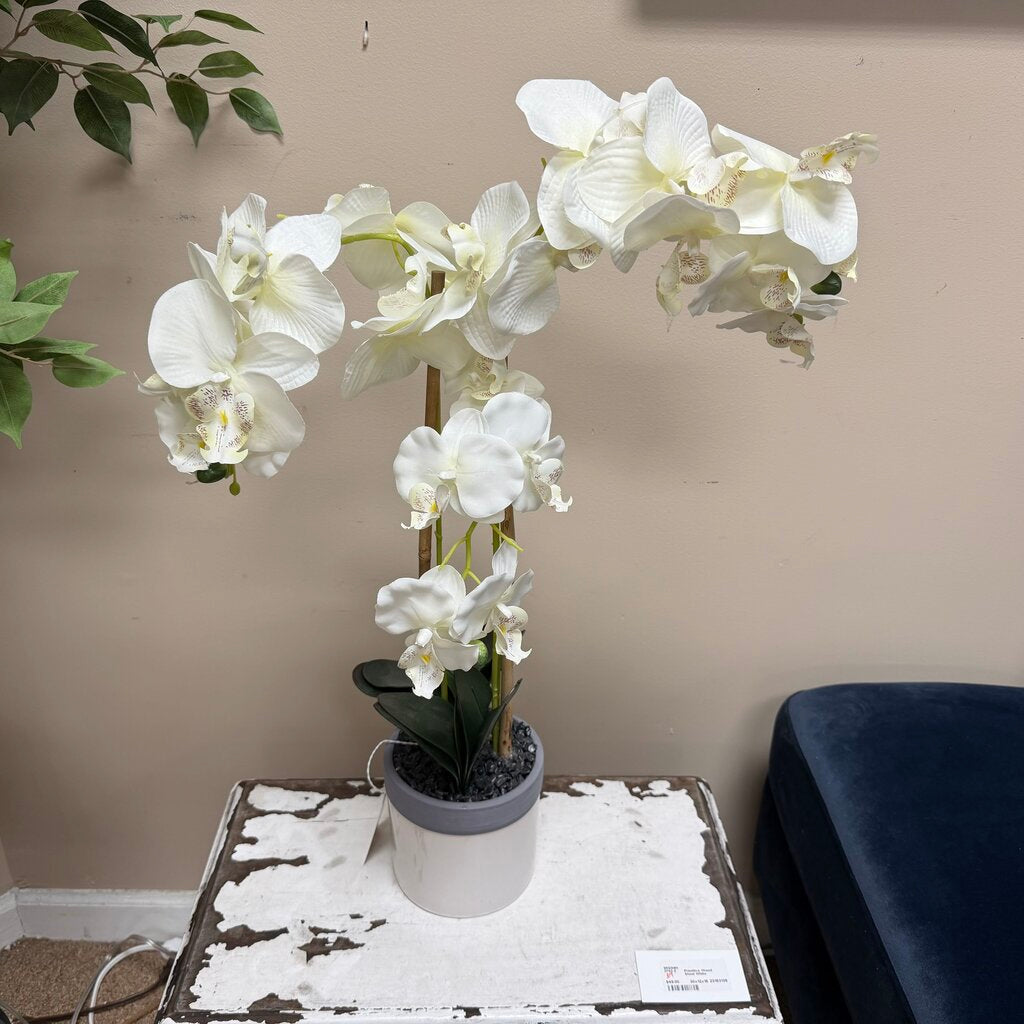 Faux White Orchid in Pot