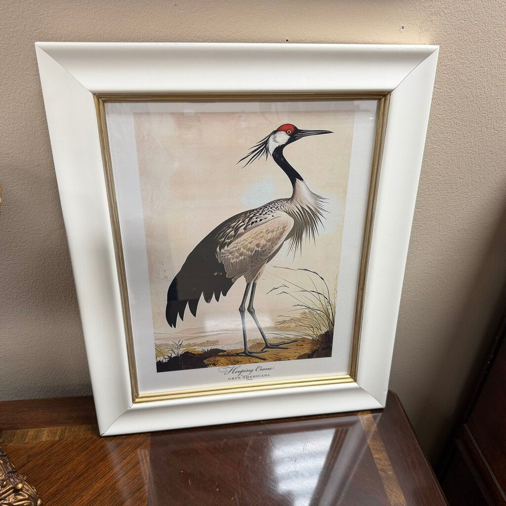 Hooping Crane Print