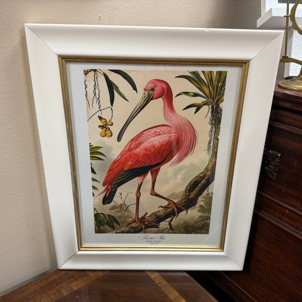 Scarlet Ibis Print