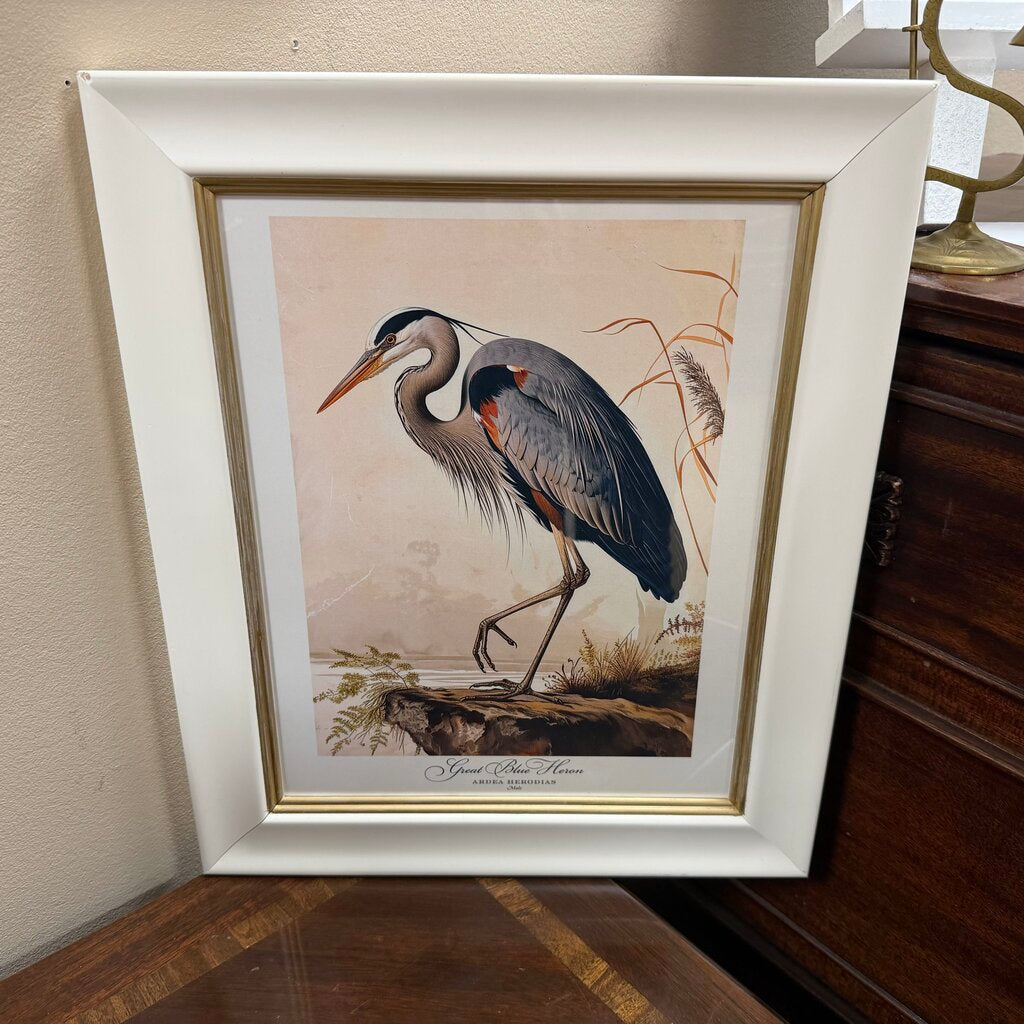 Great Blue Heron Print