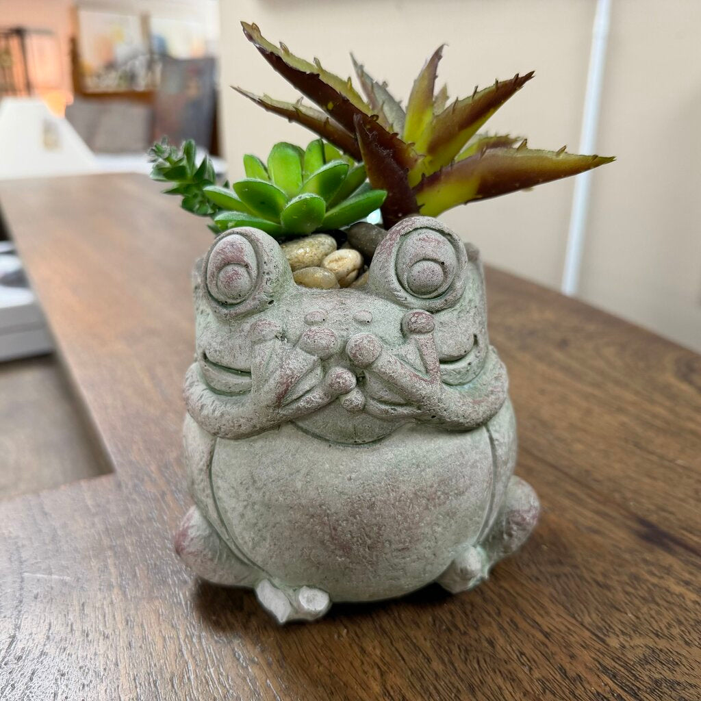 Succulents in Frog Planter