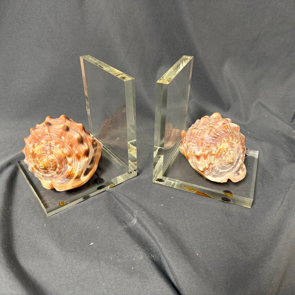 Lucite Seashell Bookends