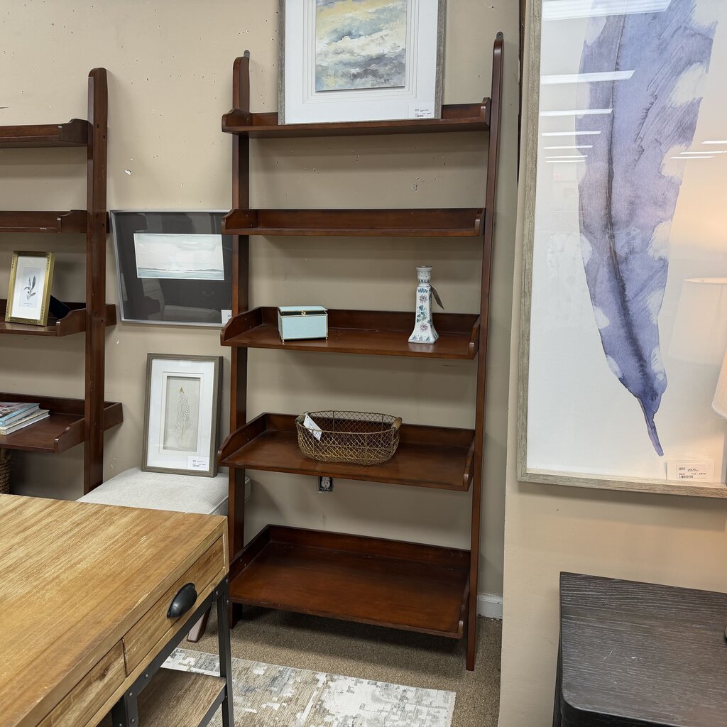 Wood Ladder Bookshelf