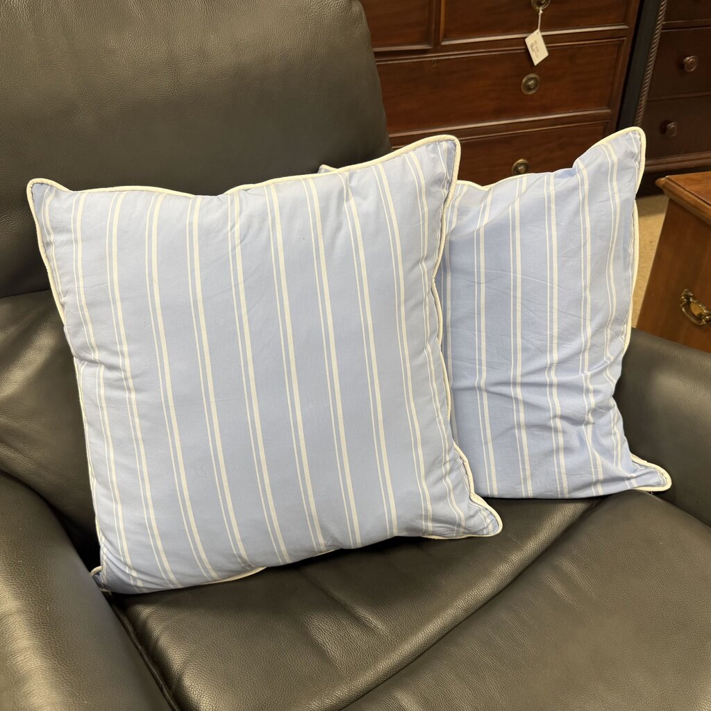 Pair Striped Cotton Pillows