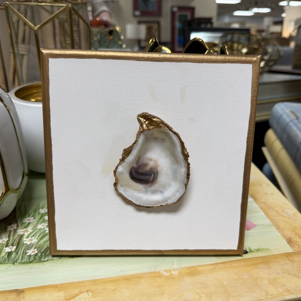 Oyster Shell on Canvas